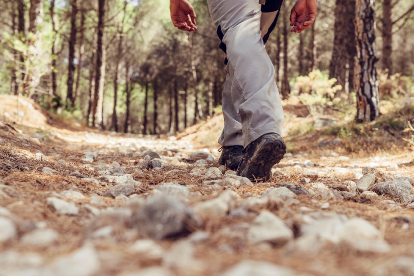 hiking in the forest